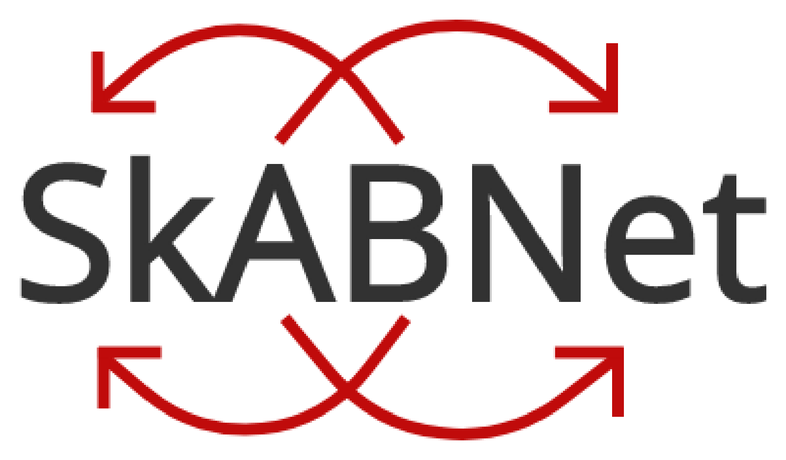 SkABNet: A Attribut-Based SkipNet built on drasyl