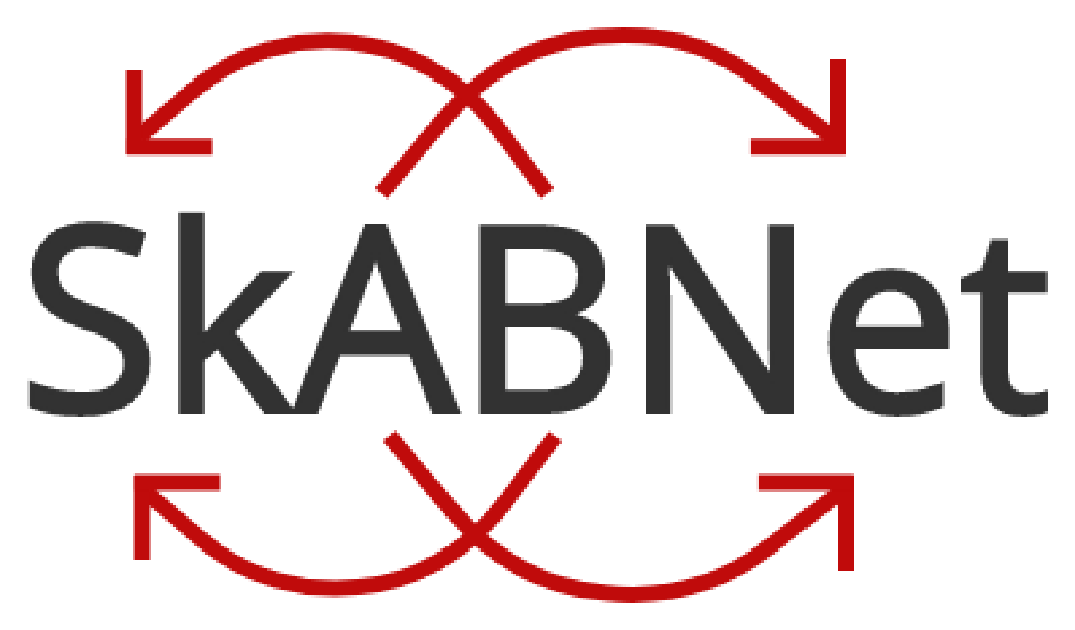 SkABNet: A Attribut-Based SkipNet built on drasyl